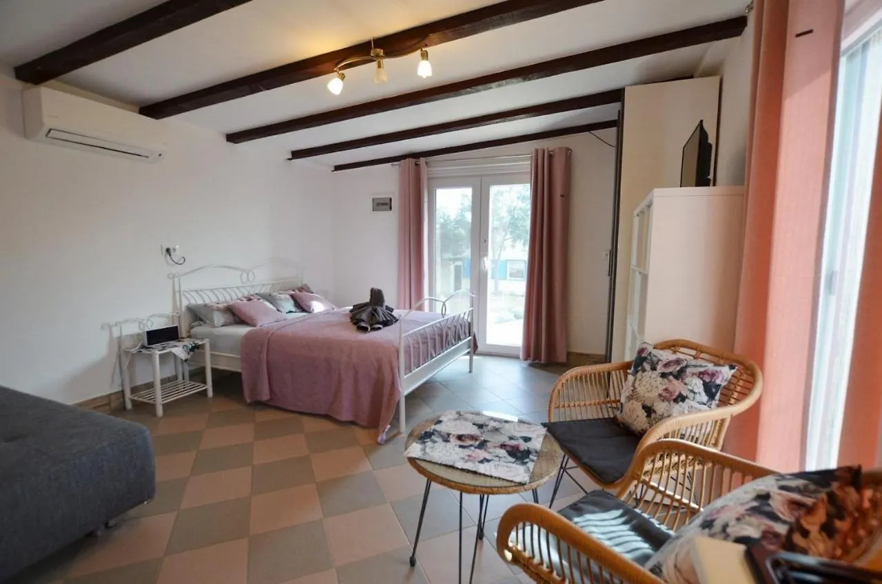 Vila Family Friendly House With A Swimming Pool Rovinj - 20869 0*,